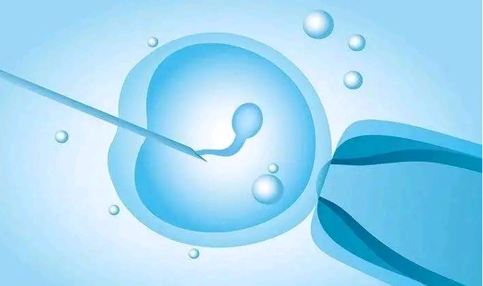 武汉哪里有助孕供卵,武汉助孕机构供卵试管包生男孩