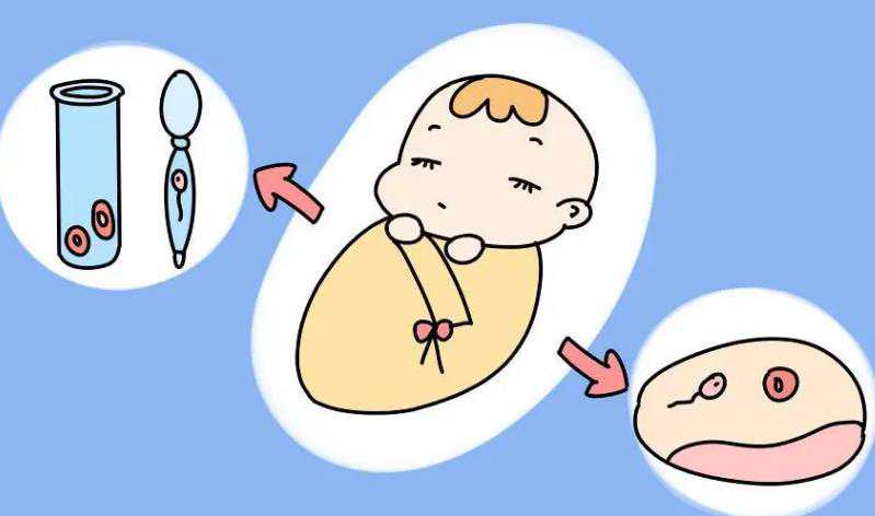 武汉专业的代孕网站,武汉同济医院-武汉试管婴儿收费标准