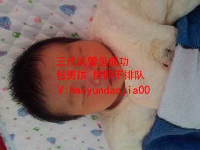 <b>武汉那里要人代孕_47岁高龄试管成功案例_哈一大试管婴儿多少钱_试管婴儿一共</b>